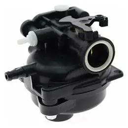 Carburetor Assembly Buy Direct