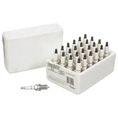 Champion Spark Plug 24 Pack DJ8J Seasonal Sale
