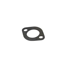 Gasket Intake Express Delivery