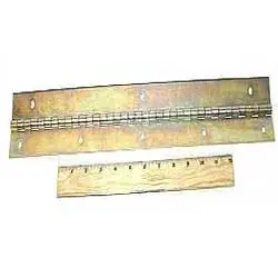 Today Only Hinge (19")