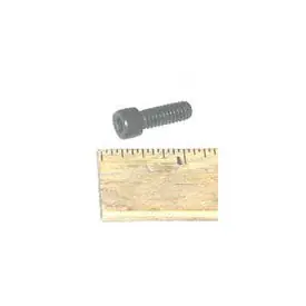 Next Day Delivery 1/4-20X3/4 Shc Screw