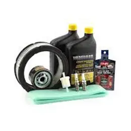 18HP Vanguard Kit, Maintenance High Quality