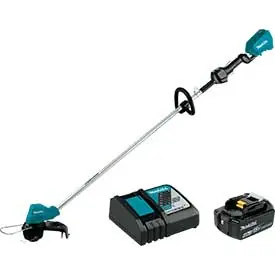 Don't Miss Out 18V LXT Brushless String Trimmer Kit