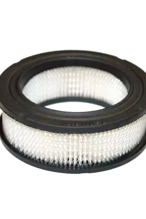 Today Only Air Filter Fits 4 6& 7hp Engine