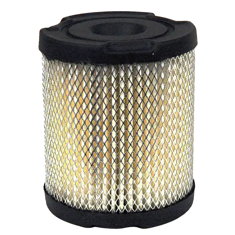 Air Filter Tecumseh Buy Online